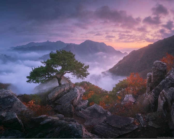어느 외국인 사진작가가 찍은 한국의 자연 | 인스티즈