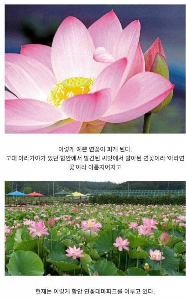 700년이나 기다렸다 아 | 인스티즈