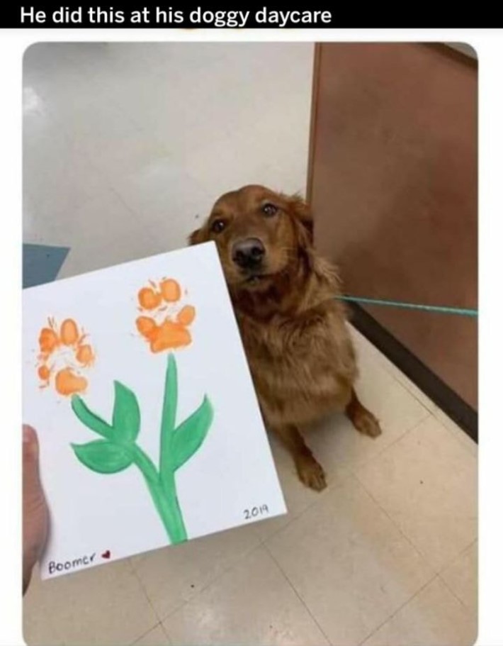 댕댕이가 유치원에서 만들어 옴 | 인스티즈