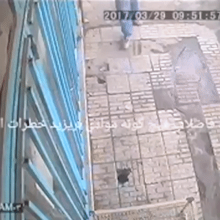 안전사고모음 (혐오주의) | 인스티즈