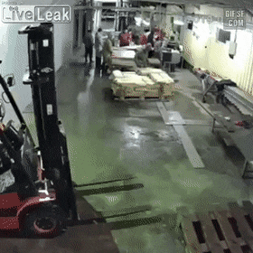 러시아 생선공장 ㄷㄷ.GIF | 인스티즈