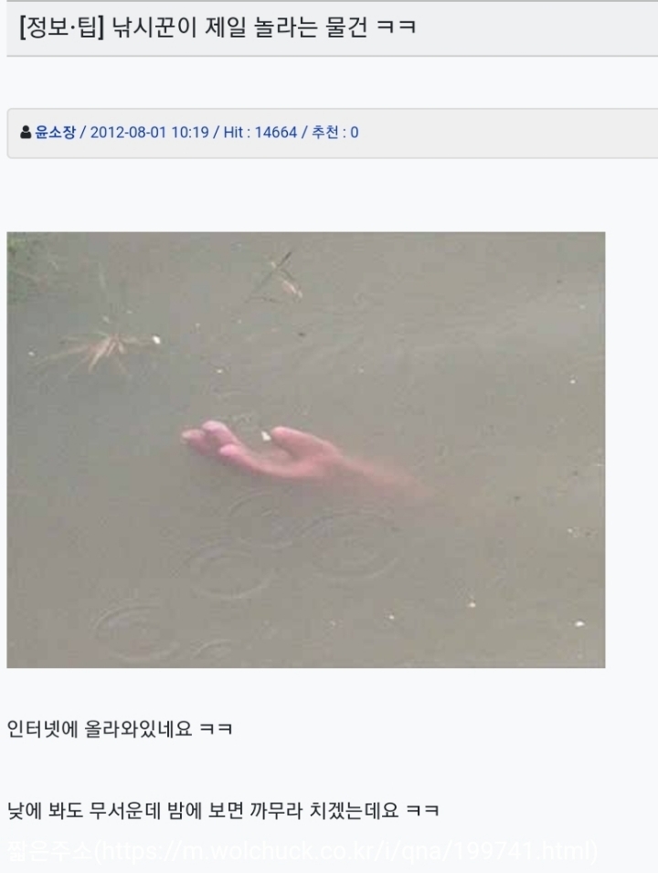 낚시커뮤 썰 모음.txt | 인스티즈