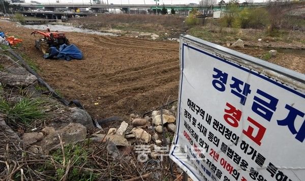 하지 말라고 해도 흔하게 하는 불법 행위 | 인스티즈