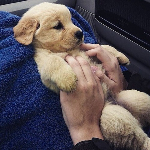 커여운 인절미들 | 인스티즈