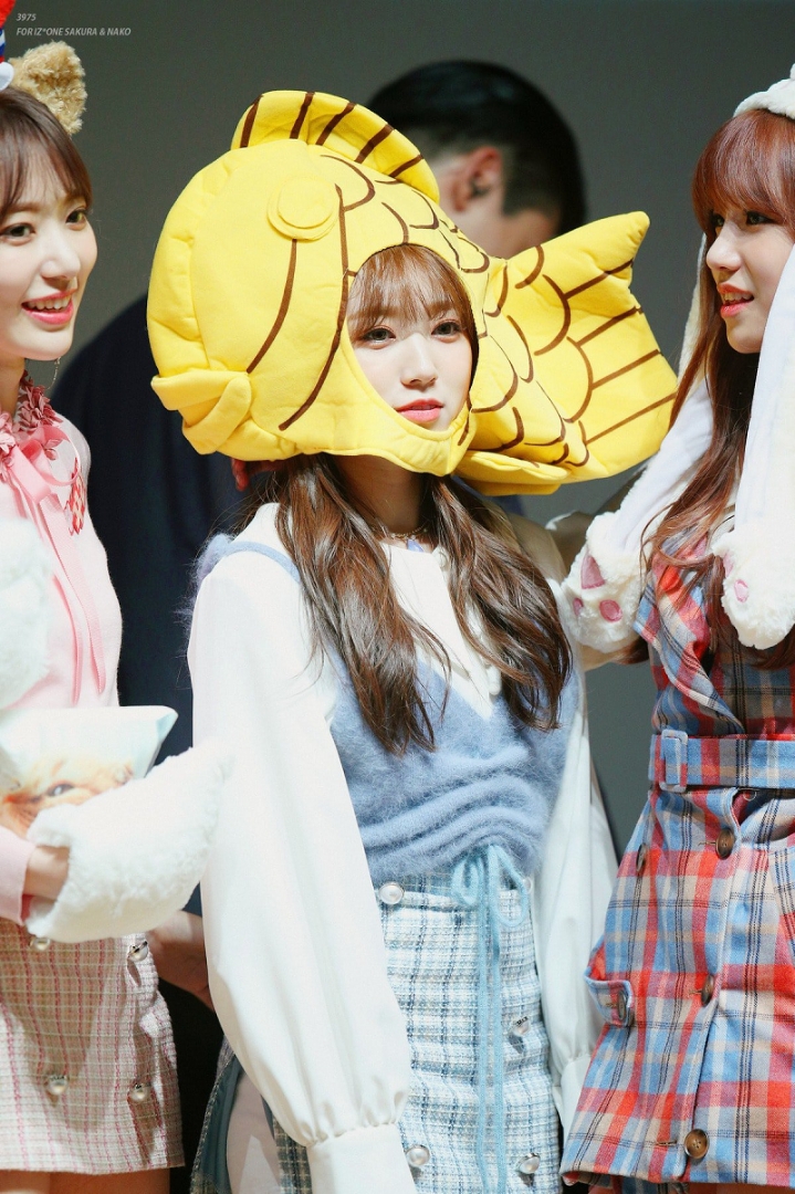 이쁜 아이돌들 사진 모음 | 인스티즈