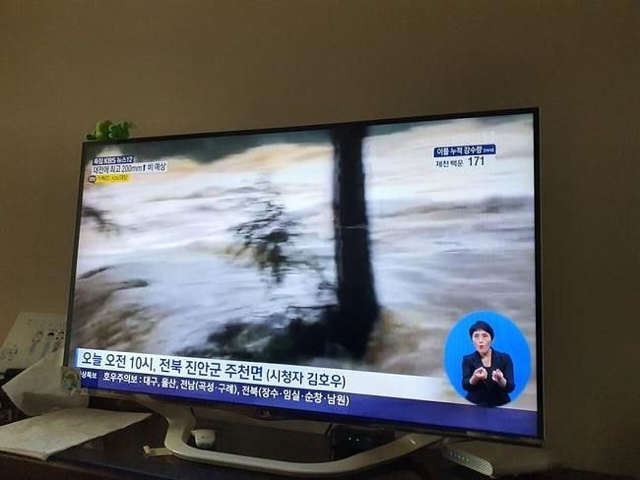 호우를 제보하는 호우.jpg | 인스티즈