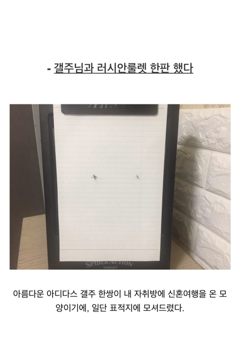 디시 모기갤 사냥꾼 레전드.jpgif | 인스티즈