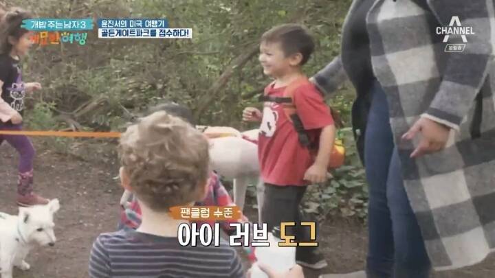 미국에서 인기쩌는 진돗개....jpg | 인스티즈