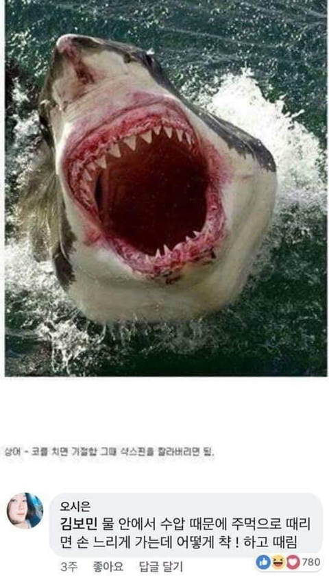 동물과 싸워서 이기는 방법ㅋㅋㅋㅋㅋㅋㅋㅋㅋㅋㅋㅋㅋㅋㅋㅋ | 인스티즈