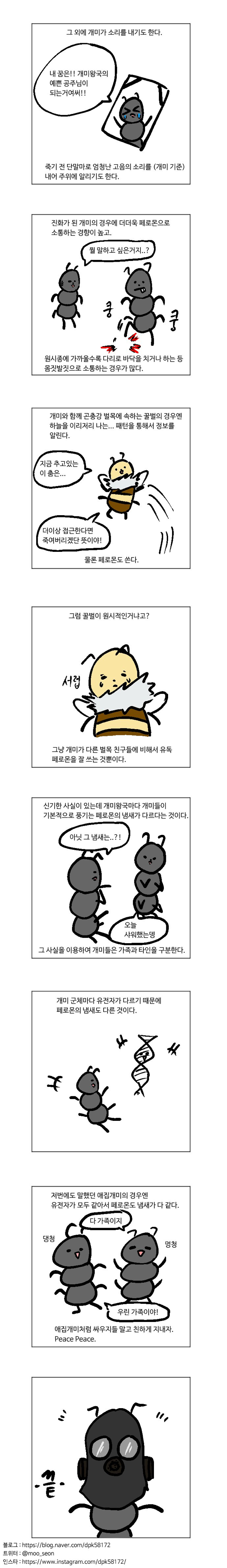 개미와 페로몬 이야기 | 인스티즈