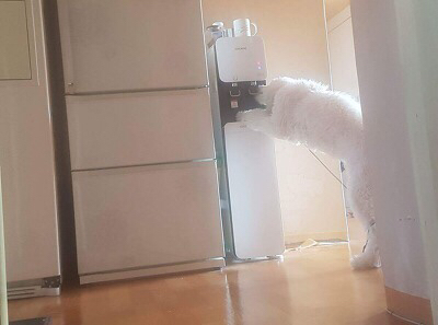 4589d3aa4261a15dd0b0a7369224deb4e36da5fb