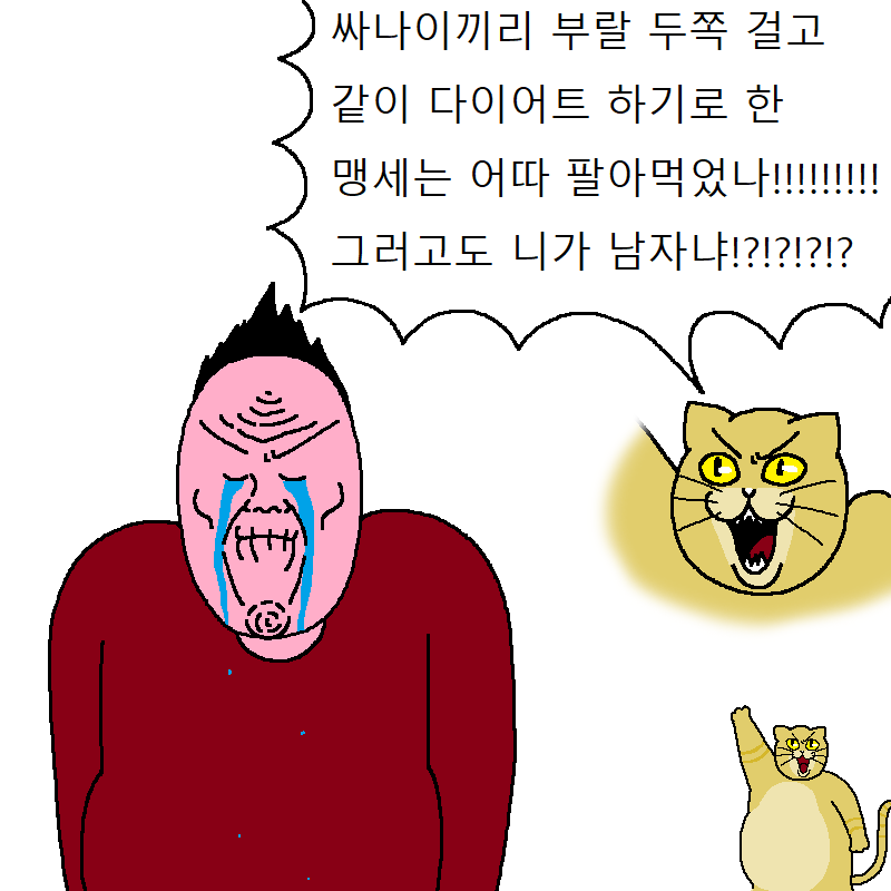 고양이랑 같이 다이어트하는 만화 | 인스티즈