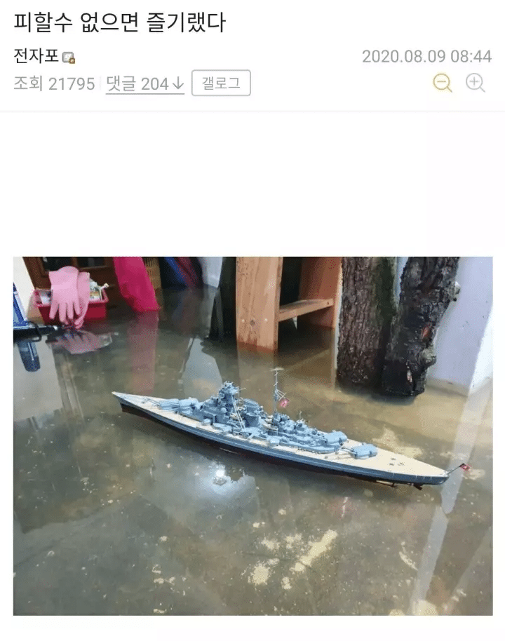 집이 침수된 디씨 토이 갤러리 유저 .JPG | 인스티즈