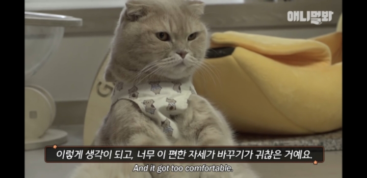 앉아있는게 편한 때껄룩 | 인스티즈