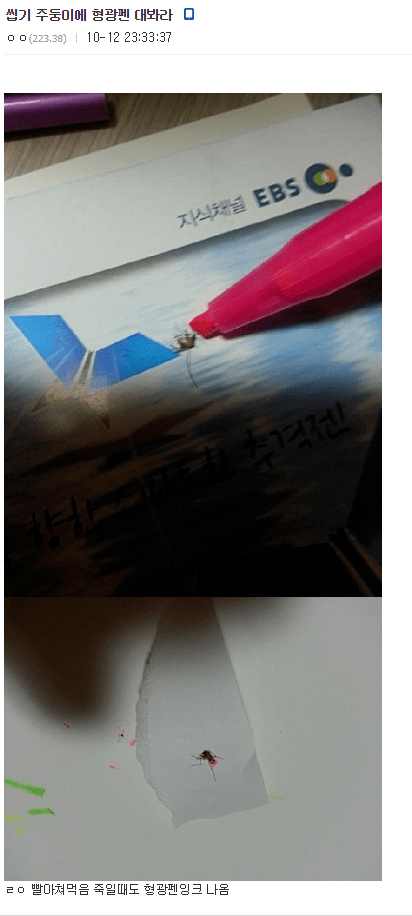 모기 새끼 다양하게 고문하는 모기 갤러리.jpgif | 인스티즈