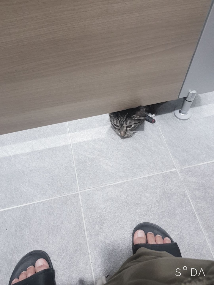 똥싸는데 누가 들어왔따!?jpg | 인스티즈