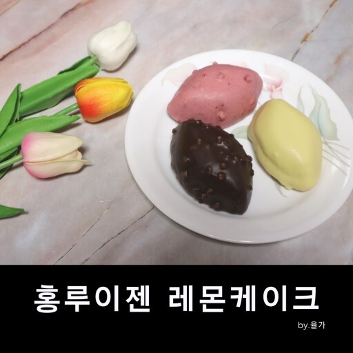 홍루이젠 이미지