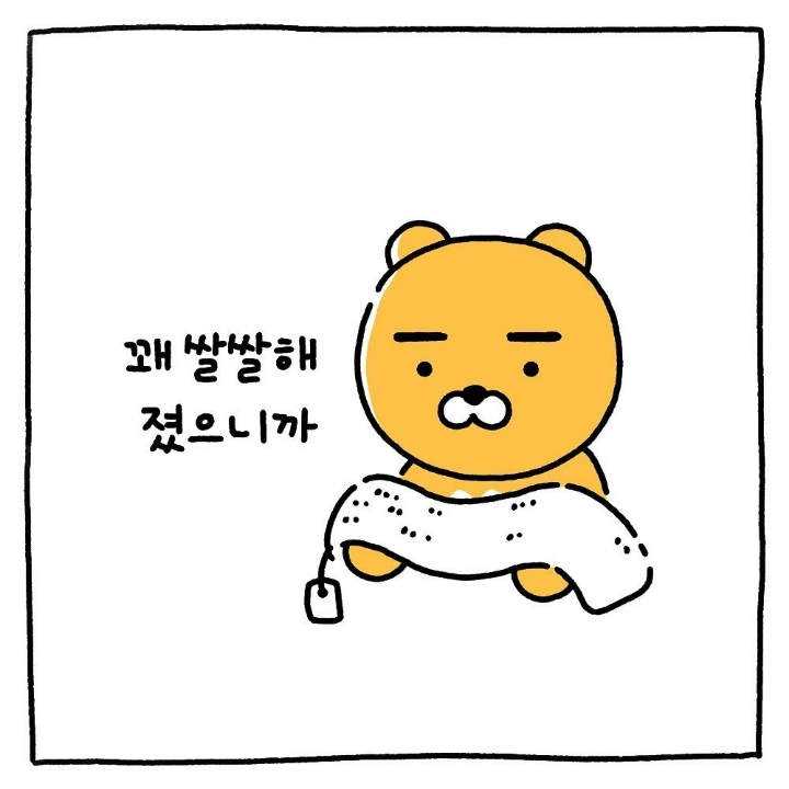 라이언&춘식이 감기조심하세요~ | 인스티즈