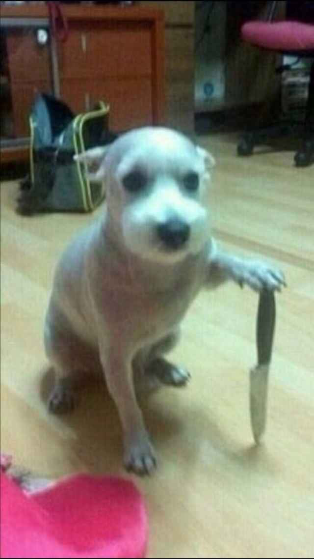 ???: 야야 그거 한입 먹는다고 죽냐 ㅋㅋㅋ | 인스티즈