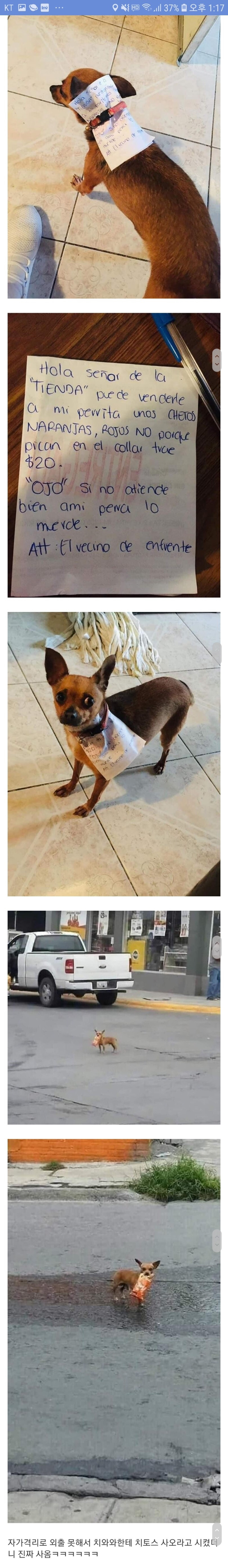 자가격리 심부름 레전드 | 인스티즈