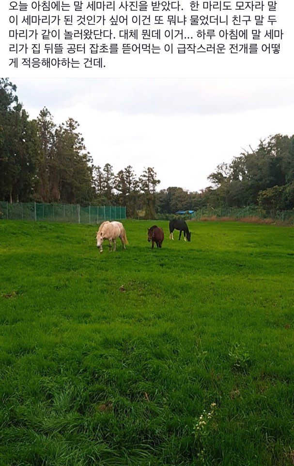 아빠가 갑자기 집에서 키울 반려동물 데려옴 | 인스티즈