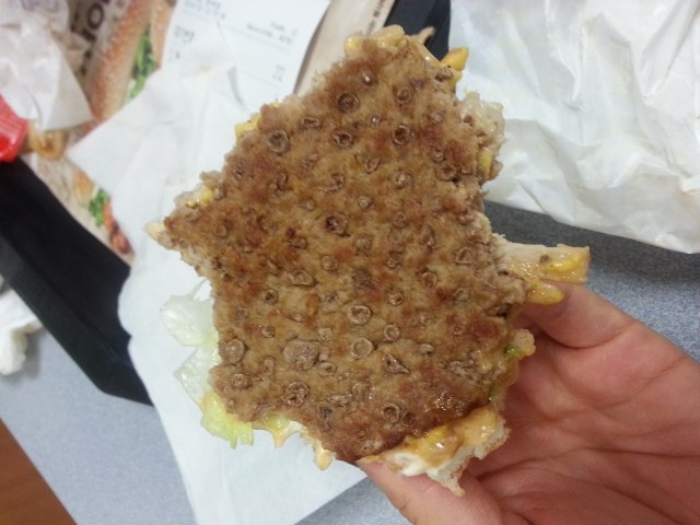 처음보면 많이 충격적인 버거킹 와퍼 패티.jpg (혐오주의) | 인스티즈