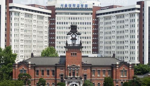 서울대병원 연세대병원 이 40년째 싸우고 있는 떡밥 | 인스티즈