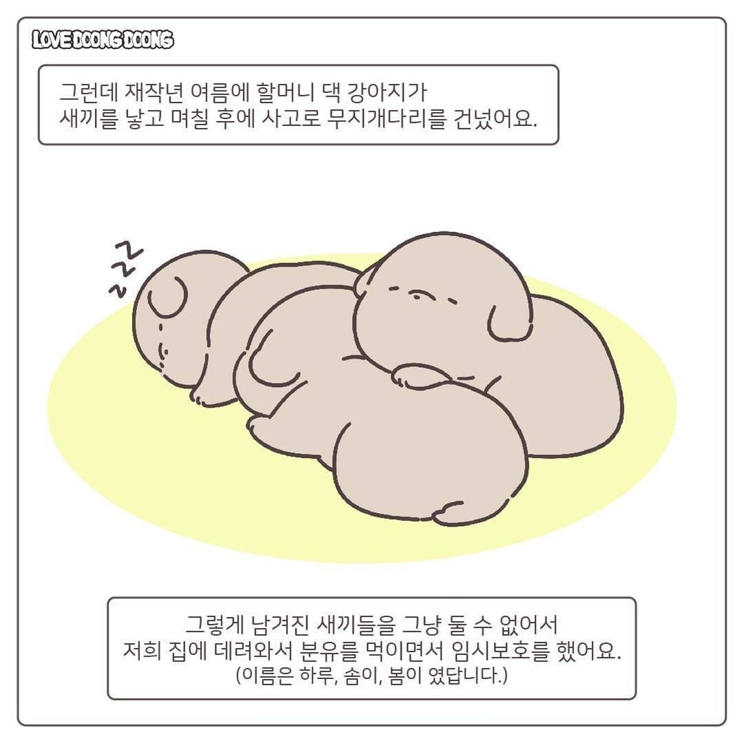 태어나서 처음 잔소리를 들은 댕댕이.jpg | 인스티즈
