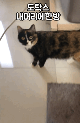 간판끼리 티키타카 ㅋㅋ | 인스티즈