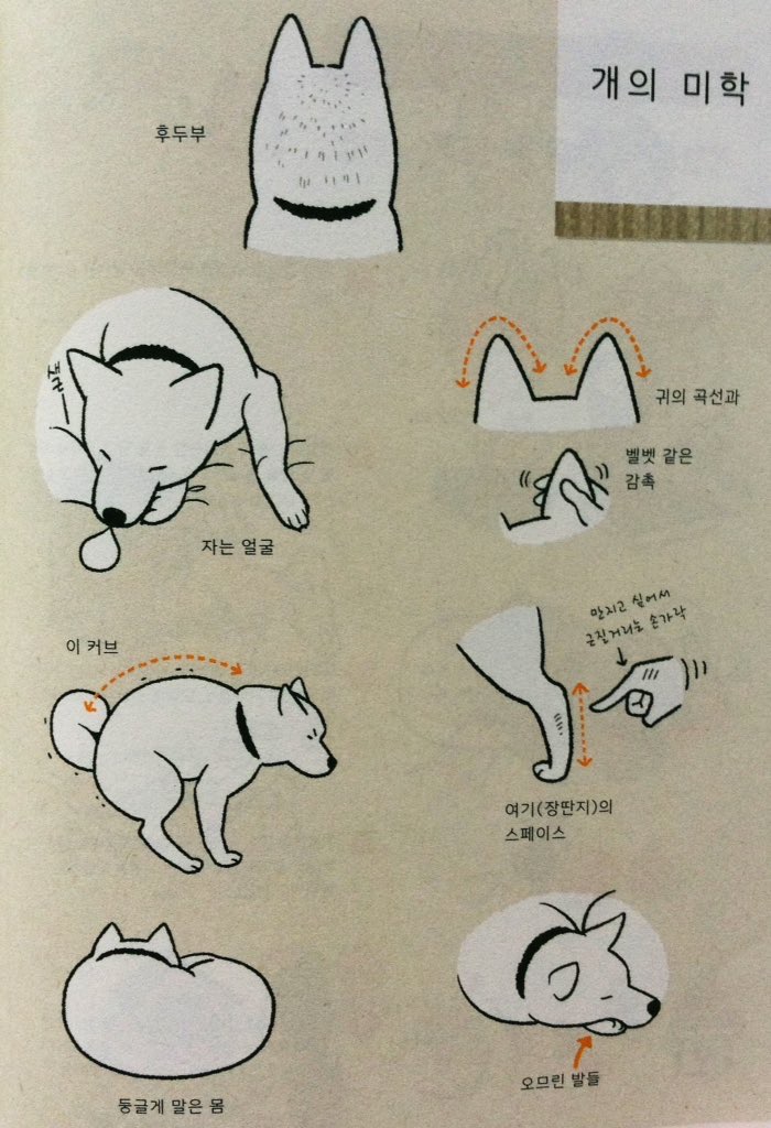 개와 오랜시간 지내며 관찰하면 알수있는 개의 짱덕 포인트.jpg | 인스티즈
