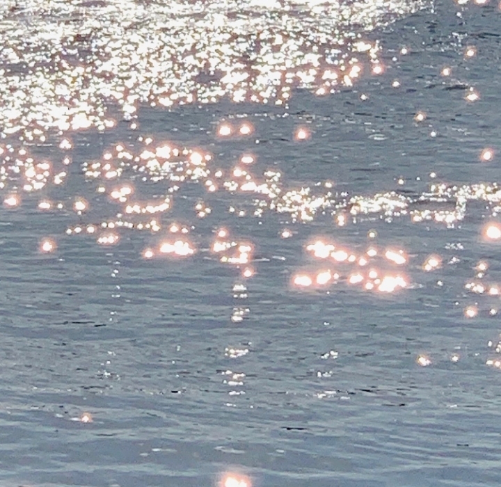 커다란 어항 같은 이 세상에서 나를 훔쳐가주오 | 인스티즈