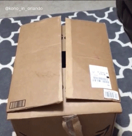 심장을폭행하는 인절미 | 인스티즈