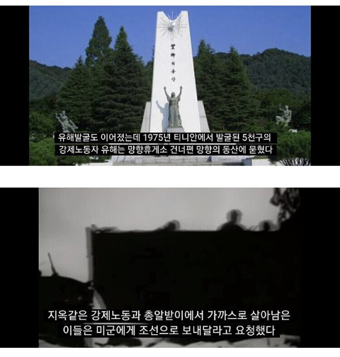 주민 중 한국계가 45%인 남태평양의 섬.JPG | 인스티즈