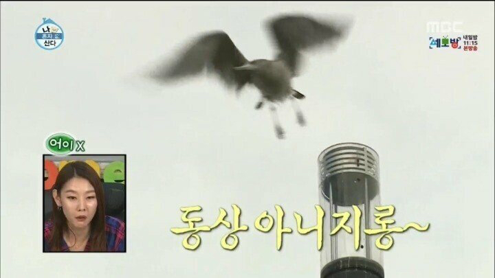 나오기만 하면 레전드 찍는 나 혼자 산다의 치트키들.jpgif | 인스티즈