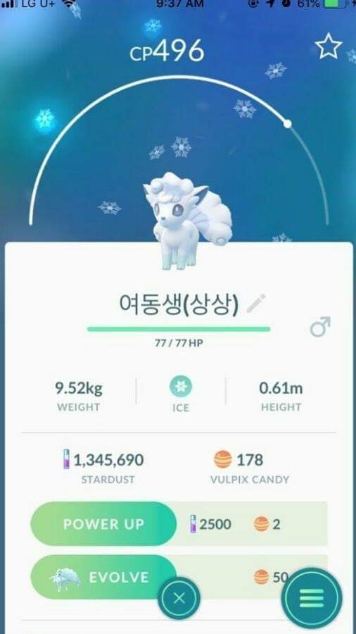 포켓몬 이름을 여동생으로 지음 | 인스티즈