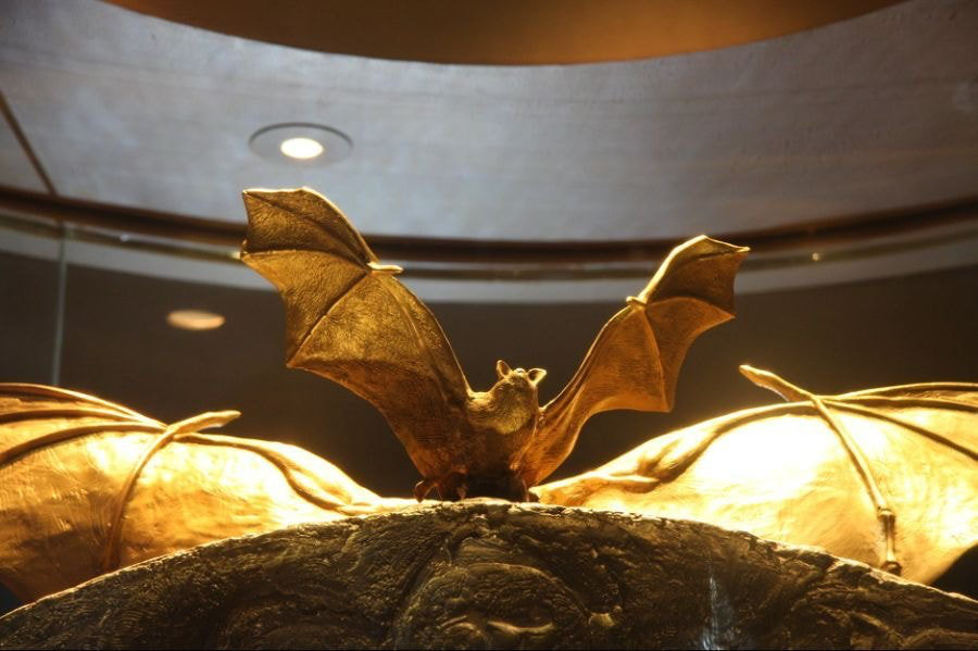 10년 전 27억 세금낭비 레전드.jpg | 인스티즈