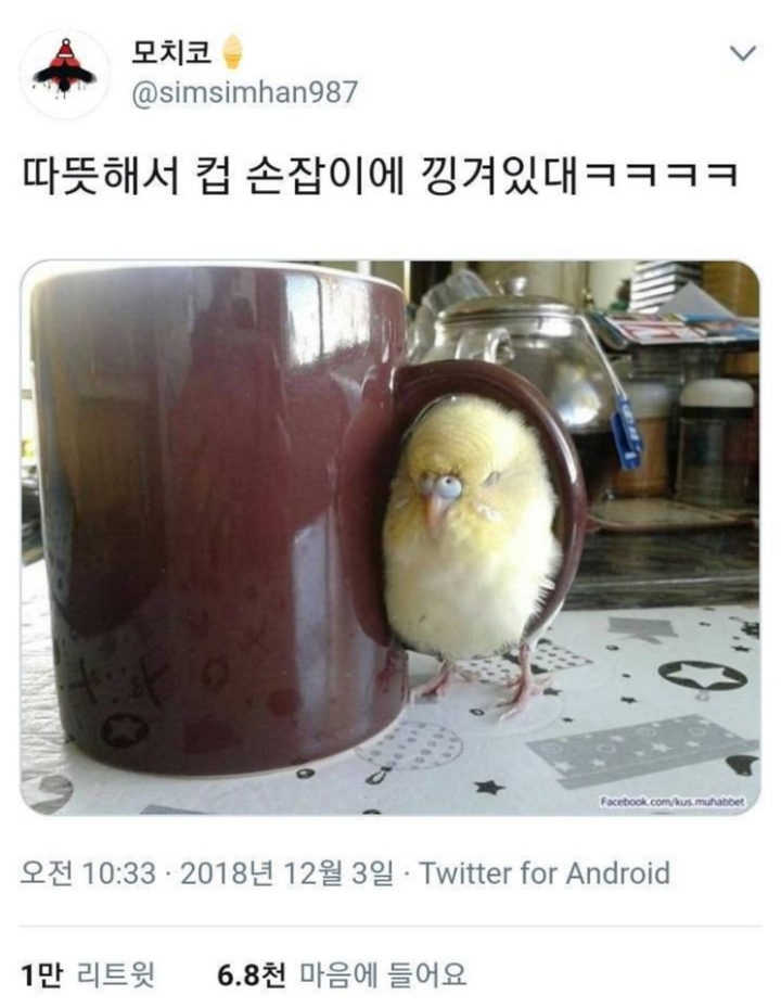 따뜻해서 기분이좋아~ | 인스티즈