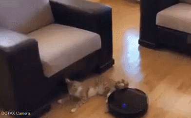 뉴비vs고인물 | 인스티즈