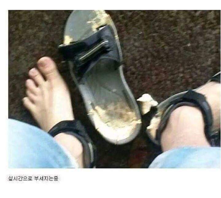 장마철에 저렴한 샌들사면 안되는이유 | 인스티즈
