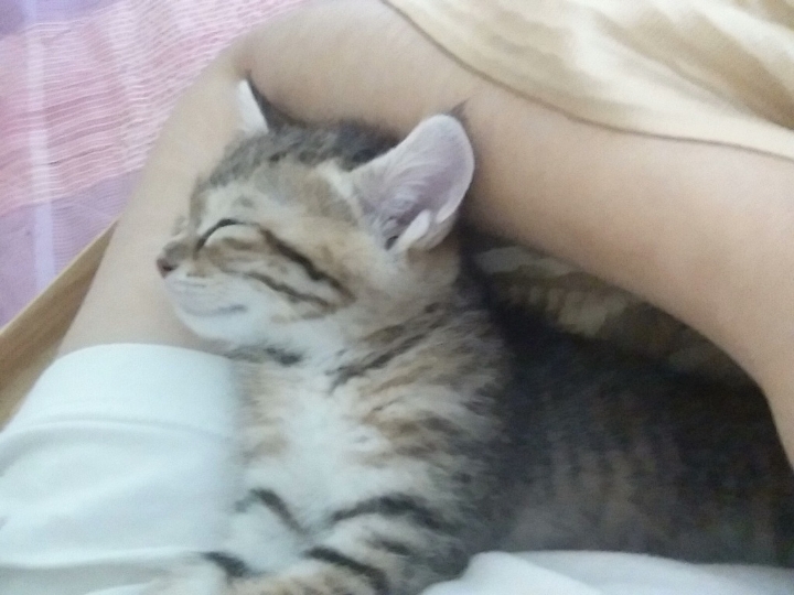  뒷집에서 본 여자 | 인스티즈