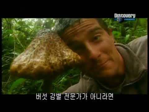 뭐든지 먹는 베어그릴스가 자연에서 유일하게 안 먹는거 | 인스티즈