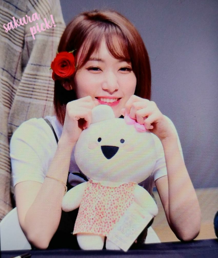 아이즈원 미야와키 사쿠라 랜덤짤 45 | 인스티즈