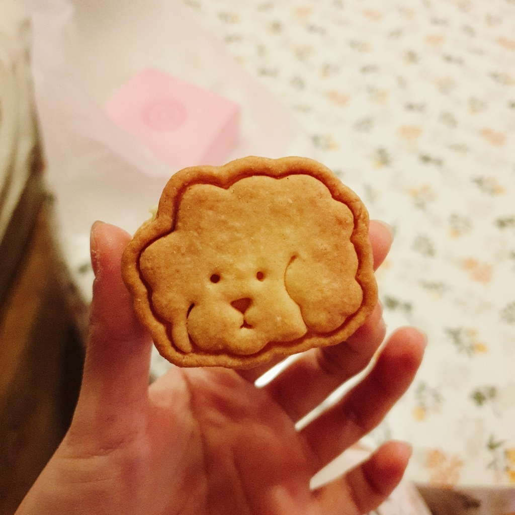 강아지 고양이 키울 때 은근히 많이 짓는 이름..........jpg | 인스티즈