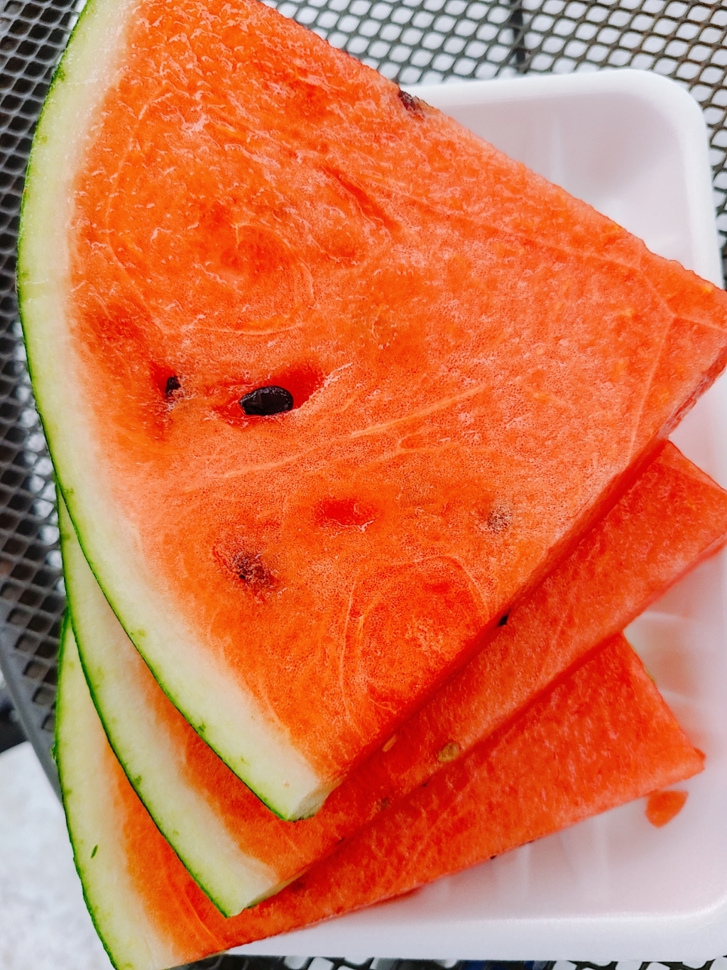 갤럭시s20+ 카메라로 찍은 사진 모음 | 인스티즈