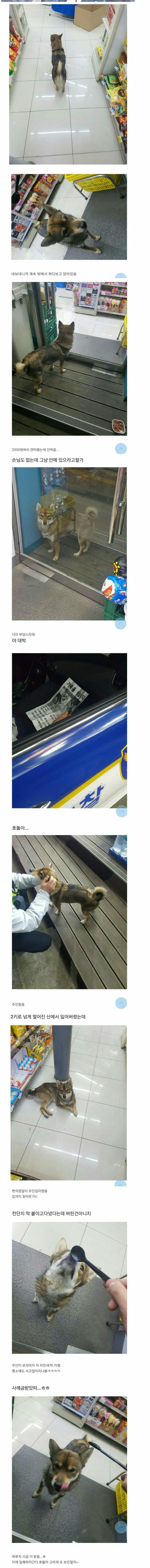 편의점을 찾아온 멍뭉이.JPG | 인스티즈