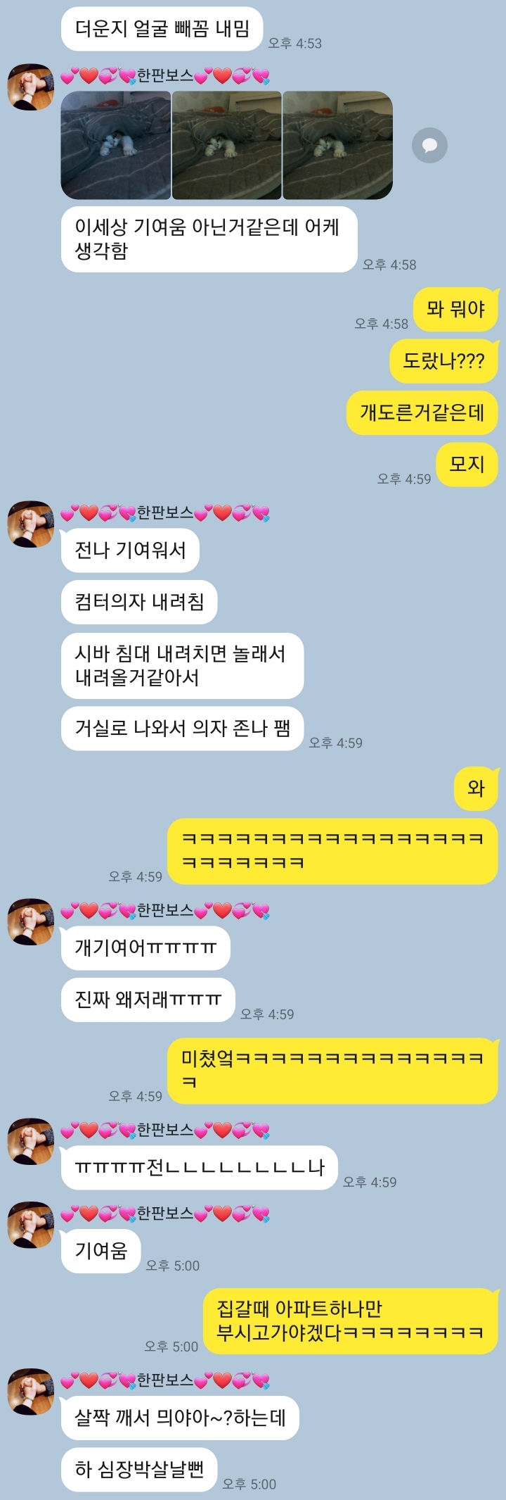 와이프랑 호들갑 .kakao | 인스티즈