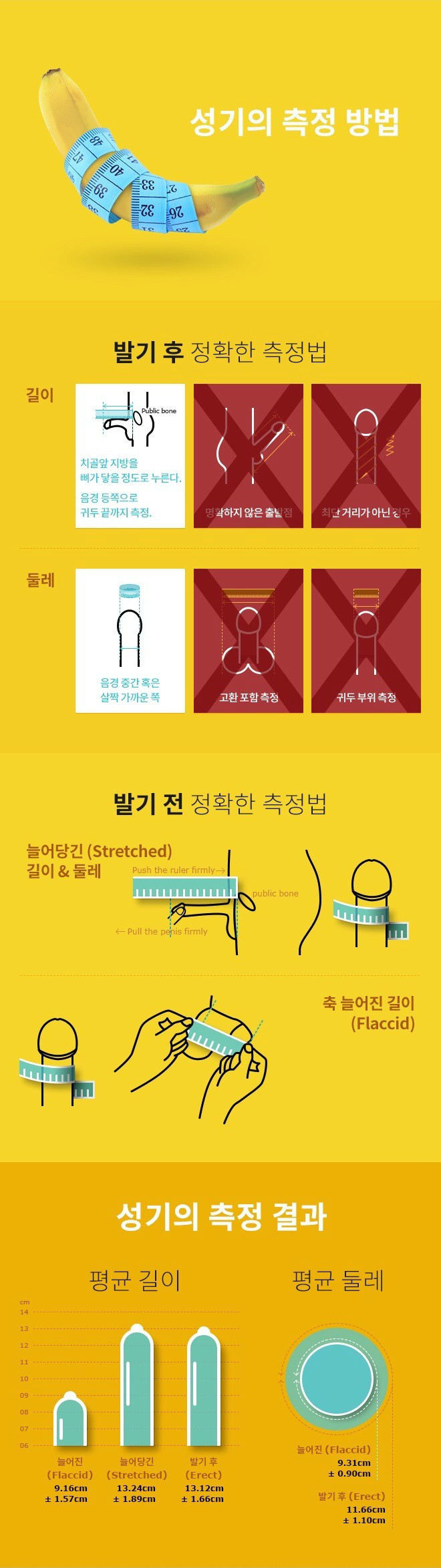 성기의 크기 측정 방법 | 인스티즈