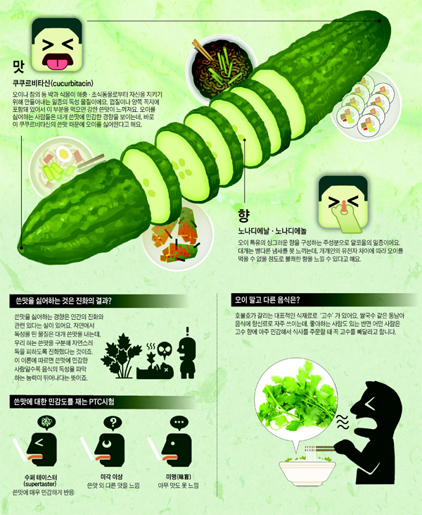 오이를 싫어하는 유전자 존재 | 인스티즈