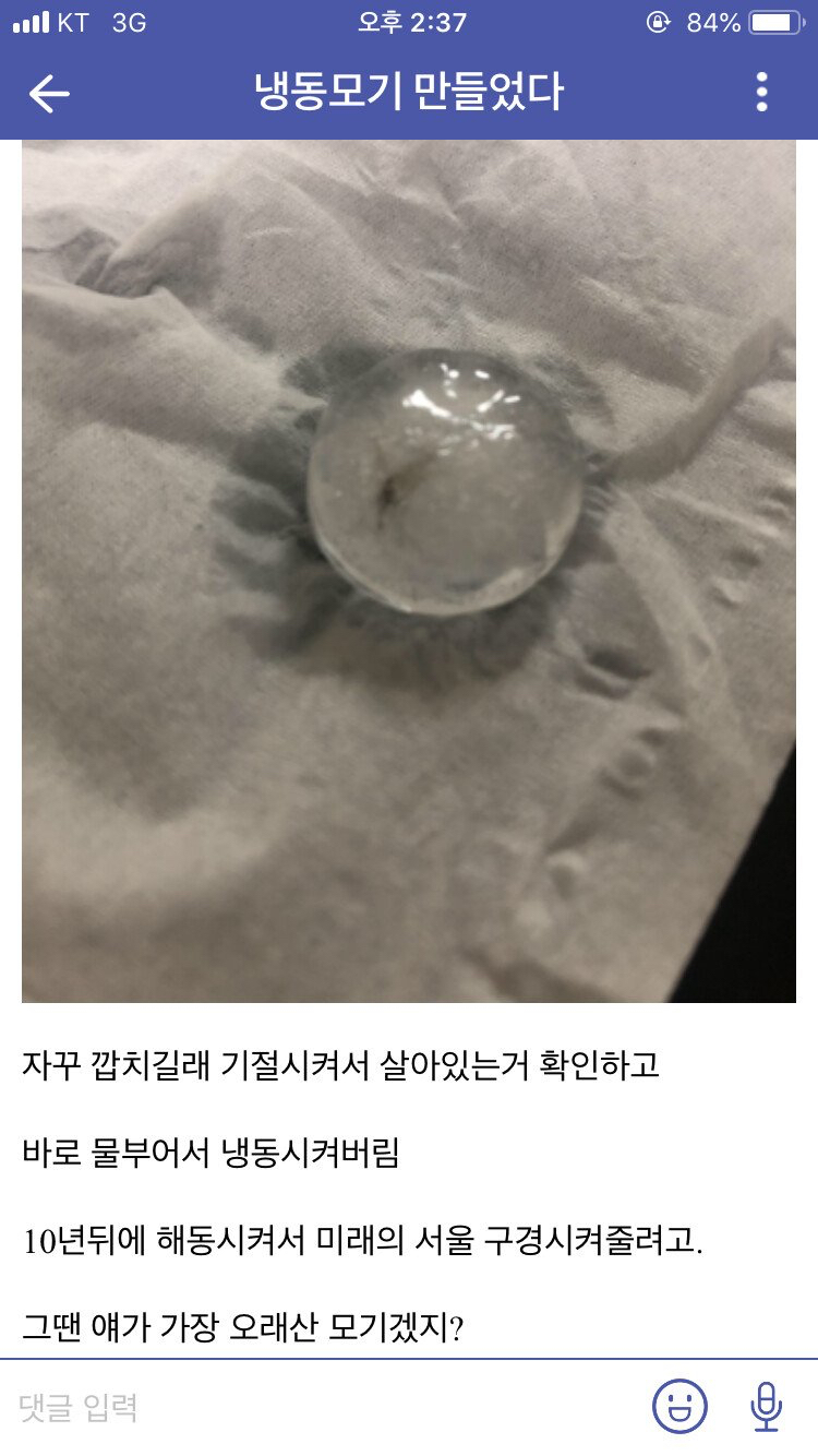 모기 새끼 다양하게 고문하는 모기 갤러리.jpgif | 인스티즈