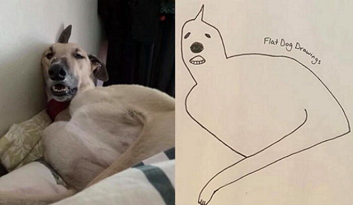 너무 대충 그려줬다는 말에 발끈한 주인이 공개한 '실제' 사진 | 인스티즈